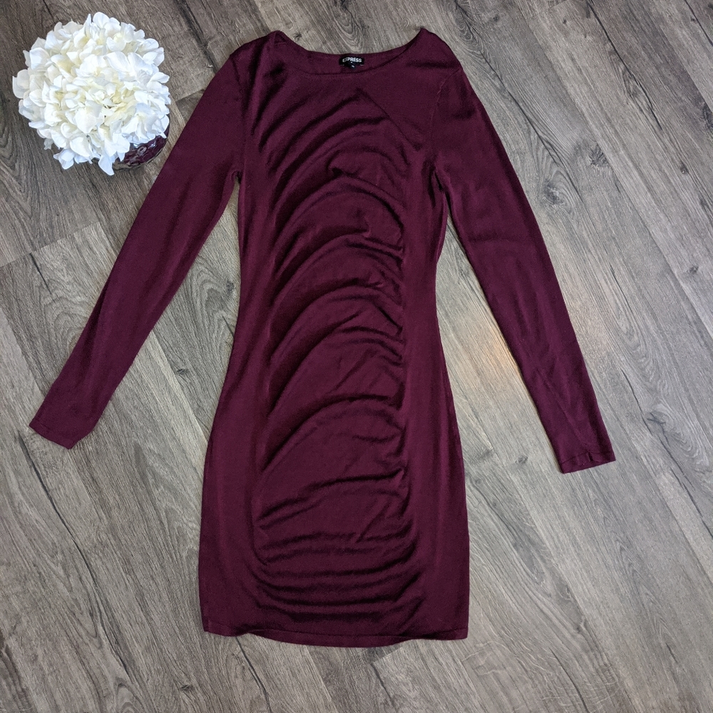 Express birgendy dress